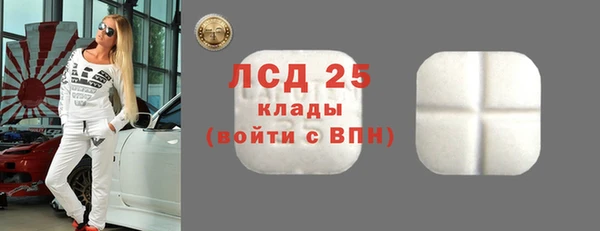 прущие грибы Ростов